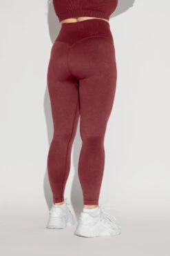 Supersculpt™ Seamless Leggings - Garnet -Popflex Store What stheScoopBra SSLeggings Garnet 0420 Edit